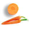 Carrot